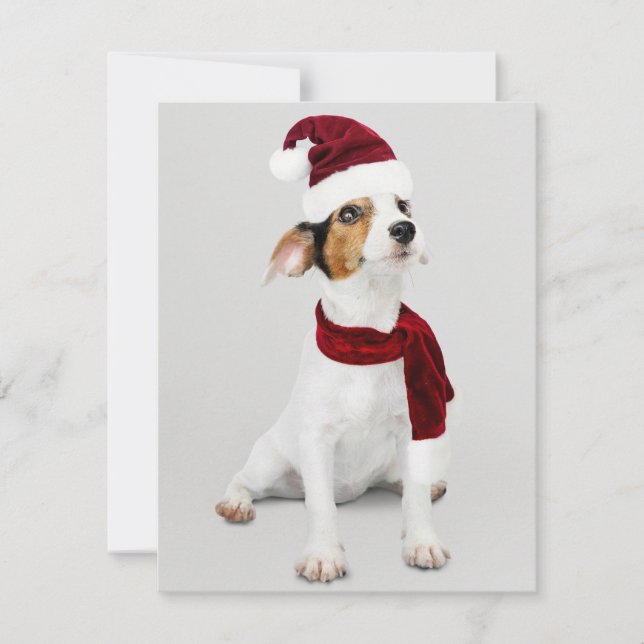 Cartes Pour Fêtes Annuelles Chien Jack Russel portant un chapeau de Père Noël (Devant)