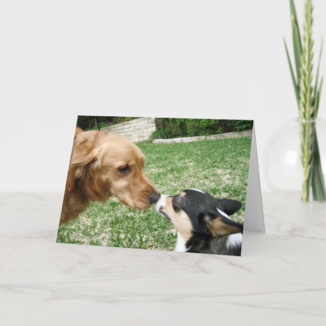 Cartes Pour Fêtes Annuelles Chien Kiss Romantique Saint Valentin (Devant)
