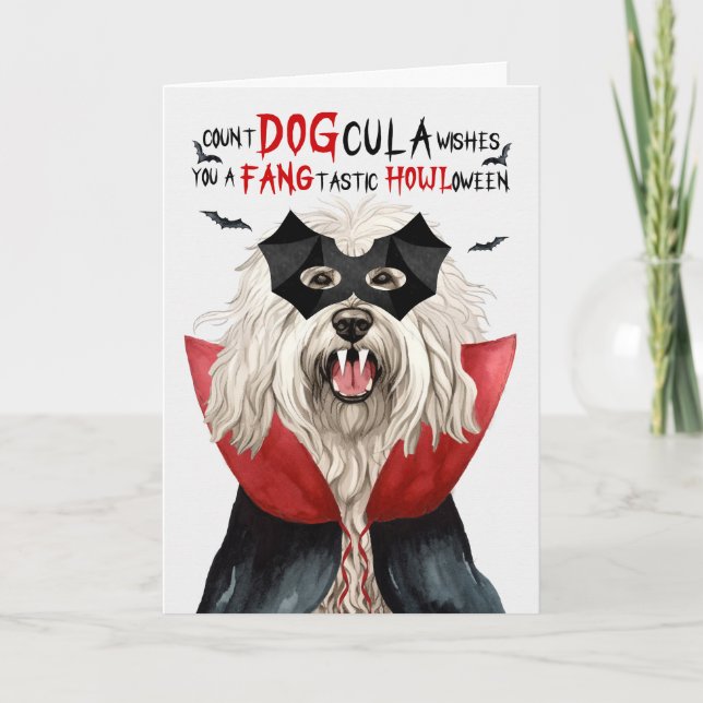 Cartes Pour Fêtes Annuelles Chien Komondor Drôle compte DOGcula Halloween (Devant)