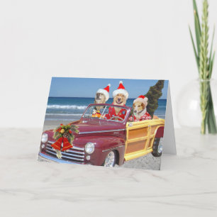 Cartes Pour Fêtes Annuelles Chien/laboratoire sur la plage dans le casquette