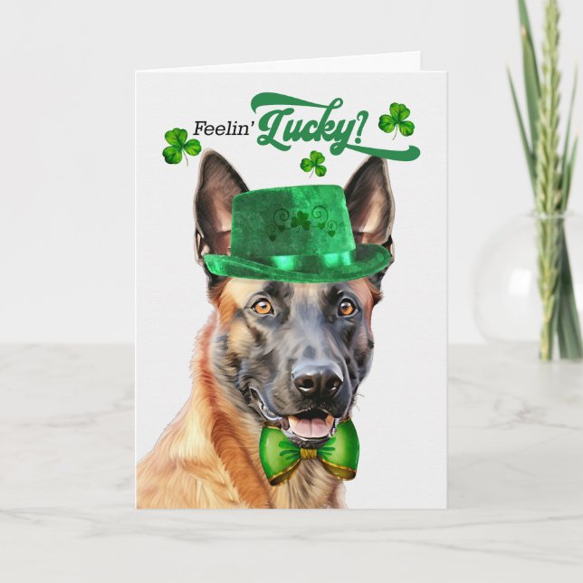 Cartes Pour Fêtes Annuelles Chien Malinois Belge Lucky St Patrick's Day (Devant)