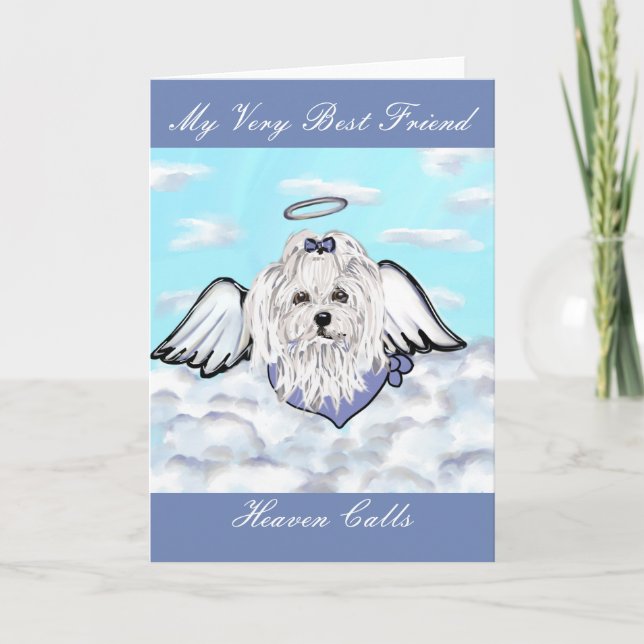 Cartes Pour Fêtes Annuelles Chien maltais (Devant)
