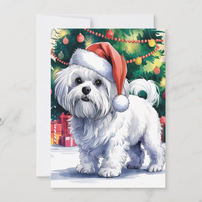 Cartes Pour Fêtes Annuelles Chien maltais blanc avec chapeau de Père Noël (Devant)