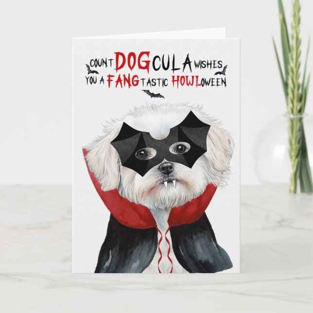Cartes Pour Fêtes Annuelles Chien maltais Drôle compte DOGcula Halloween (Devant)