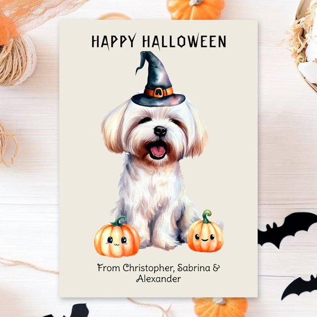Cartes Pour Fêtes Annuelles Chien maltais heureux Halloween (Créateur téléchargé)