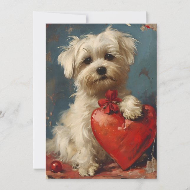 Cartes Pour Fêtes Annuelles Chien maltais Saint-Valentin vintage  (Devant)