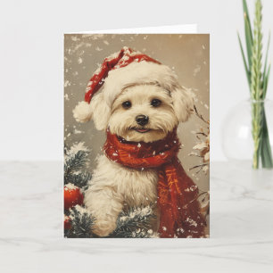 Cartes Pour Fêtes Annuelles Chien maltais vintage Noël personnalisé