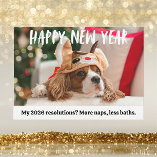 Cartes Pour Fêtes Annuelles Chien Mignon Animal Drôle Bonne Année Photo