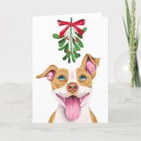 Chien mignon de Pitbull sous Noël de gui