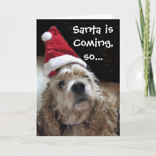 Cartes Pour Fêtes Annuelles Chien père Noël Chance