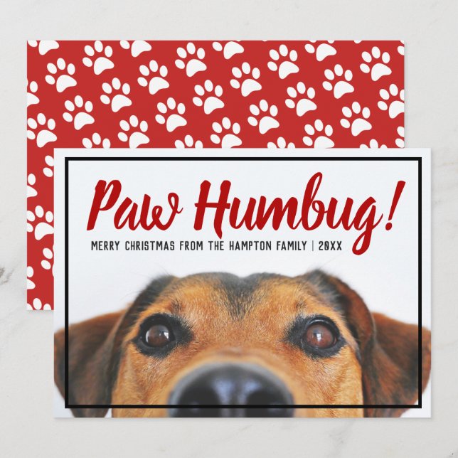 Cartes Pour Fêtes Annuelles Chien Photo Bah Humbug Christmas Pet (Devant / Derrière)