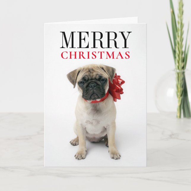 Cartes Pour Fêtes Annuelles Chien Pug avec noeud de Noël (Devant)