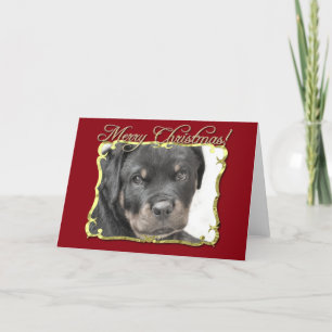 Cartes Pour Fêtes Annuelles Chien Rottweiler