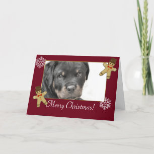 Cartes Pour Fêtes Annuelles Chien Rottweiler
