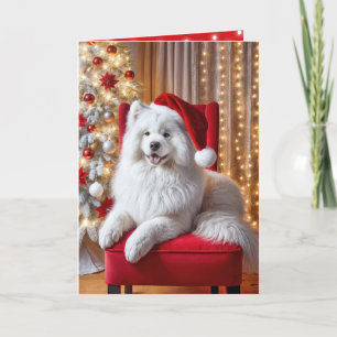 Cartes Pour Fêtes Annuelles Chien Samoyé de Noël sur une chaise rouge