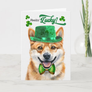 Cartes Pour Fêtes Annuelles Chien Shiba Inu se sent chanceux à la Saint-Patric