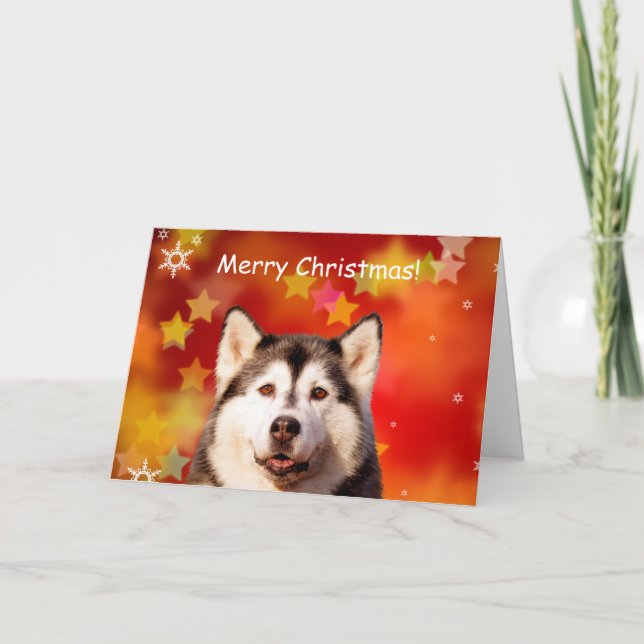 Cartes Pour Fêtes Annuelles Chien sibérien Husky Noël Étoiles Neige Flakes (Devant)
