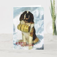 Chien St Bernard, Secourt de montagne