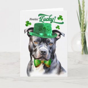 Cartes Pour Fêtes Annuelles Chien taureau gris Feelin' Lucky St Patrick's Day
