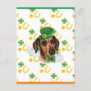 Cartes Pour Fêtes Annuelles Chien Teckel à Poil Dur Trèfle St. Patrick