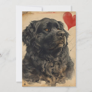 Cartes Pour Fêtes Annuelles Chien Terre-Neuve Saint-Valentin vintage 