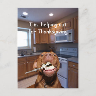 Cartes Pour Fêtes Annuelles Chien utile de thanksgiving