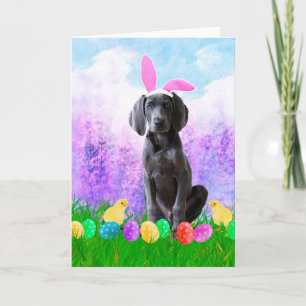 Cartes Pour Fêtes Annuelles Chien Weimaraner avec oeufs de Pâques Poussins lap