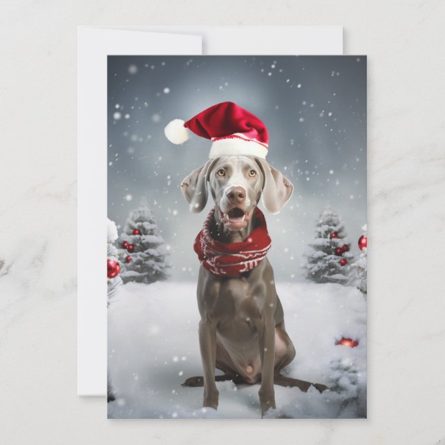 Cartes Pour Fêtes Annuelles Chien Weimaraner de Noël (Devant)