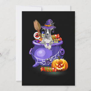 Cartes Pour Fêtes Annuelles Chien Whippet avec sorcière Casquette bonbon Citro