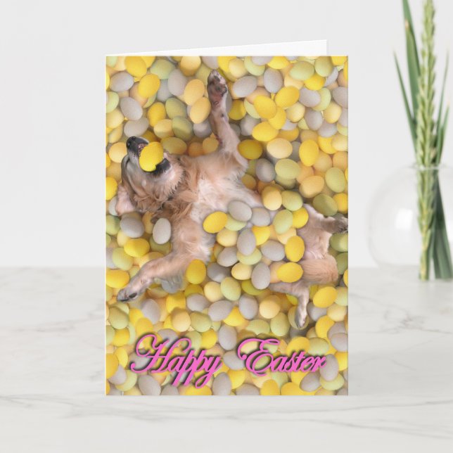 Cartes Pour Fêtes Annuelles Chienchien de Pâques (Devant)