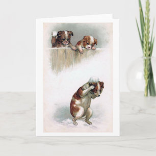 Cartes Pour Fêtes Annuelles "Chiens cru jouant boules de neige"