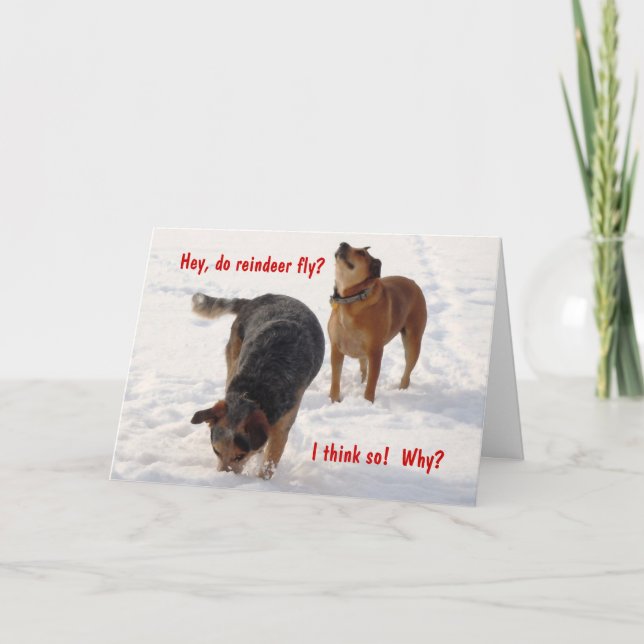 Cartes Pour Fêtes Annuelles Chiens de bétail ridicules et drôles neige de Noël (Devant)