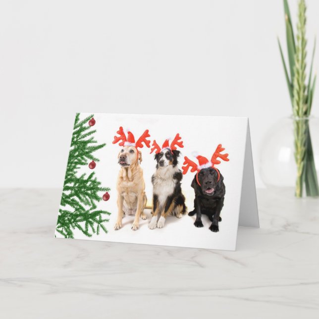 Cartes Pour Fêtes Annuelles Chiens de Noël (Devant)