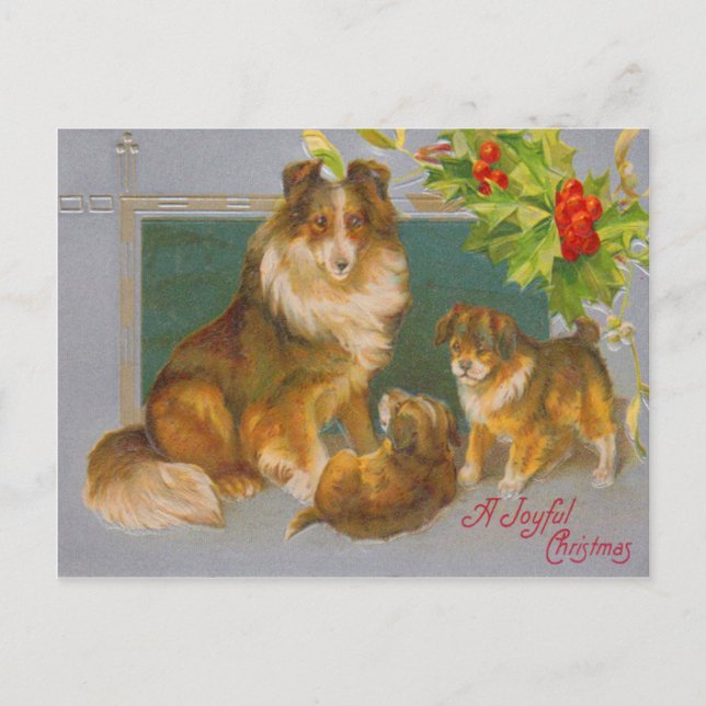 Cartes Pour Fêtes Annuelles Chiens de Noël (Devant)