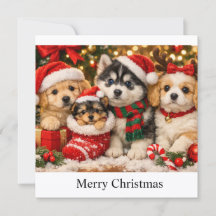 Chiens de Noël