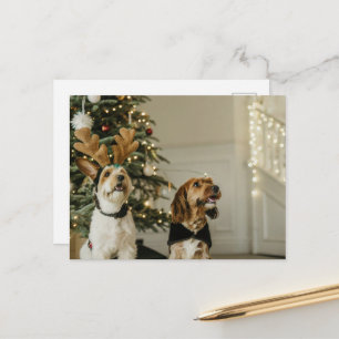 Cartes Pour Fêtes Annuelles Chiens de Noël habillés en rennes