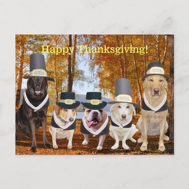 Cartes Pour Fêtes Annuelles Chiens de pèlerin amusants personnalisables Thanks (Devant)