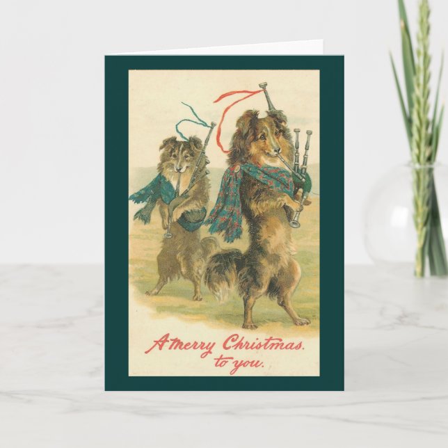 Cartes Pour Fêtes Annuelles Chiens de piqueur écossais de Noël (Devant)