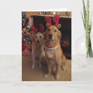 Cartes Pour Fêtes Annuelles Chiens de rennes