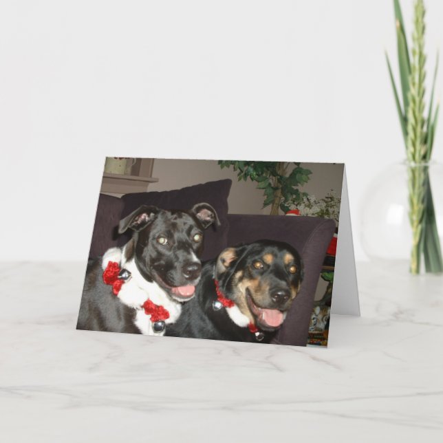 Cartes Pour Fêtes Annuelles Chiens de tintement (Devant)
