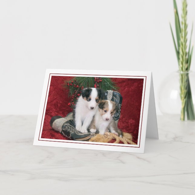 Cartes Pour Fêtes Annuelles Chiens de vacances Shetland Sheepdog Puppies (Devant)