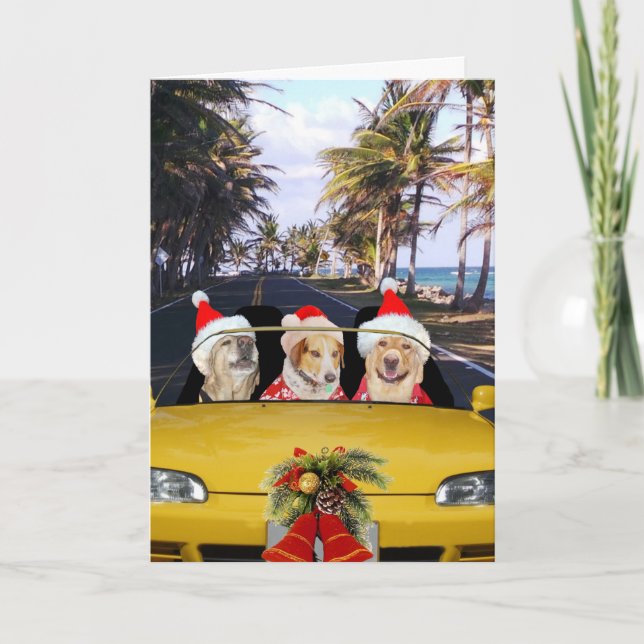 Cartes Pour Fêtes Annuelles Chiens/laboratoires en convertible avec chapeaux d (Devant)