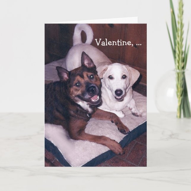 Cartes Pour Fêtes Annuelles Chiens mignons personnalisables Valentine (Devant)