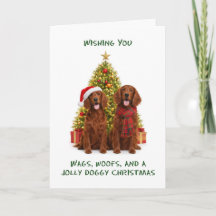 Chiens Setter Rouge Noël