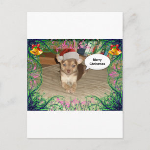 Cartes Pour Fêtes Annuelles Chihuahua