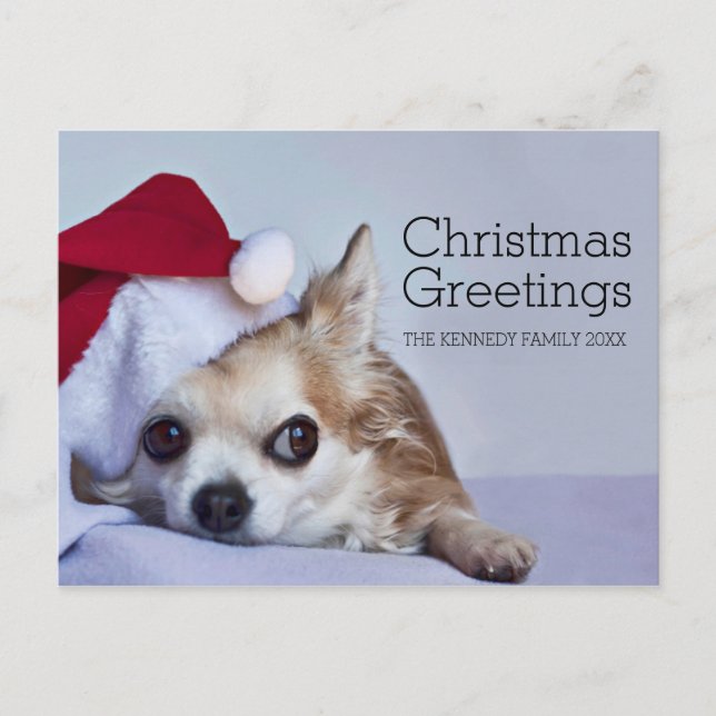 Cartes Pour Fêtes Annuelles Chihuahua à cheveux longs de 6 ans (Devant)