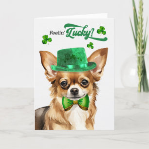 Cartes Pour Fêtes Annuelles Chihuahua Chig Feelin' Lucky St Patrick's Day