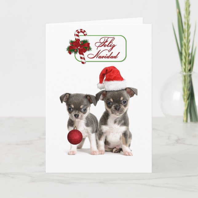 Cartes Pour Fêtes Annuelles Chihuahua Chipies de Noël (Devant)