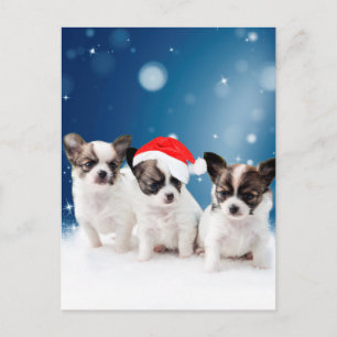 Cartes Pour Fêtes Annuelles Chihuahua Chiuppies mignonnes avec Noël du Père No