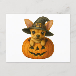Cartes Pour Fêtes Annuelles Chihuahua en Citrouille